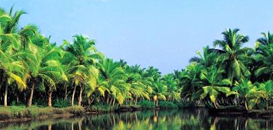 הסעות לרמת הגולן, שירותי תחבורה בכל הארץ