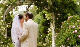 השכרת אוטובוסים והשכרת מיניבוסים לאירועים, חתונות